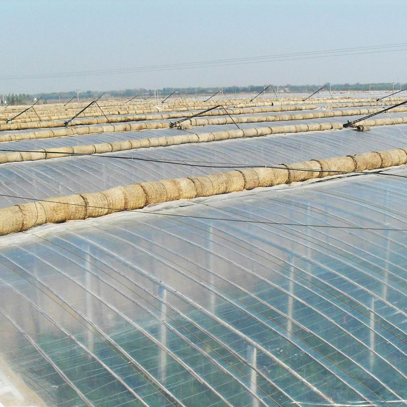 抗霧化、抗滴流劑 塑之寶 SP-3型