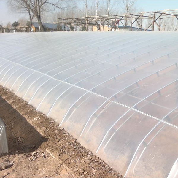 抗霧化、抗滴流劑 塑之寶 SP-3型